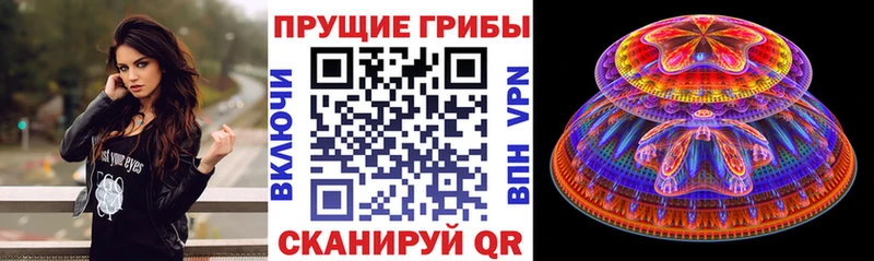 Псилоцибиновые грибы Psilocybine cubensis  закладки  Барыш 